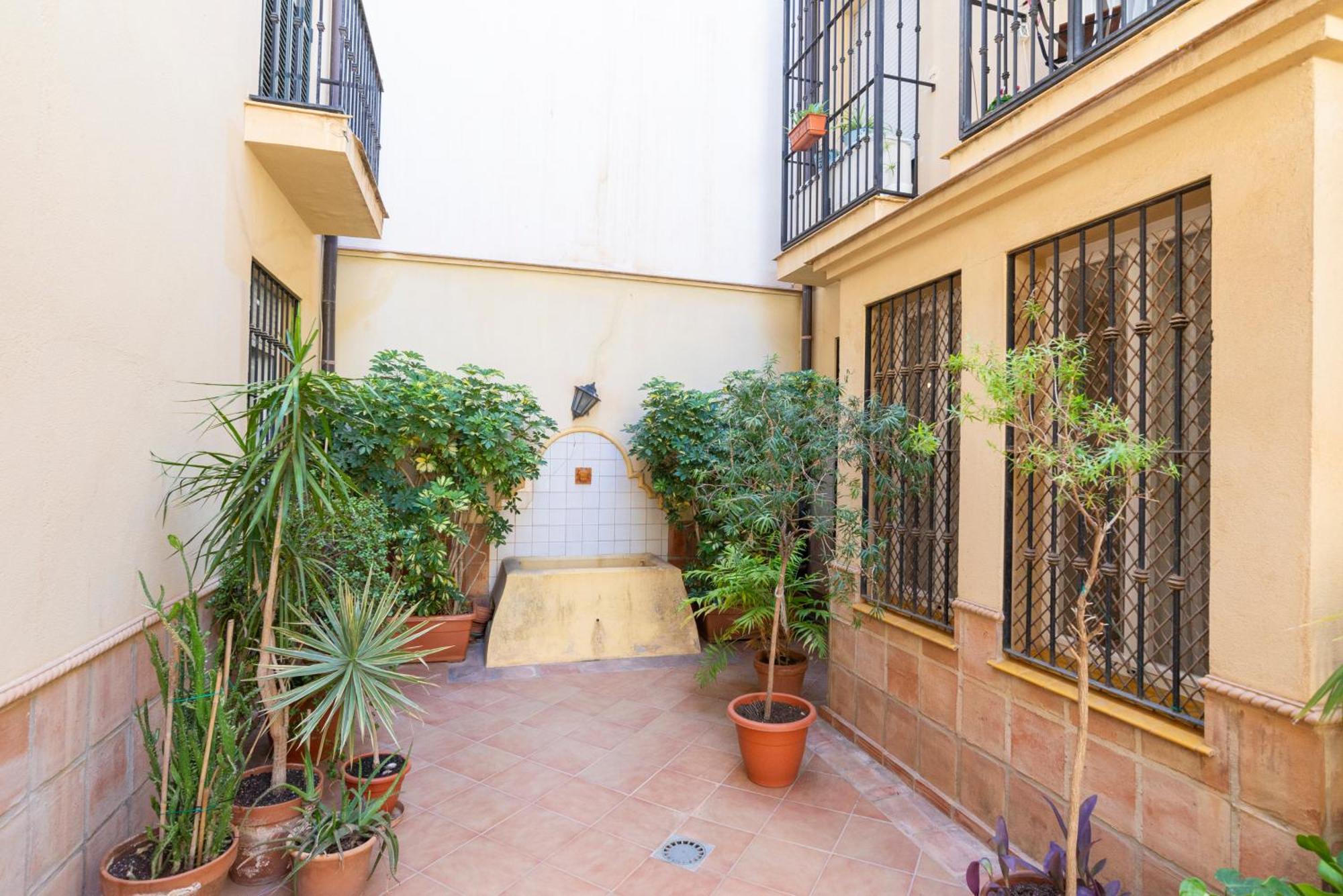 Apartment & Pool In Malaga City Center Экстерьер фото